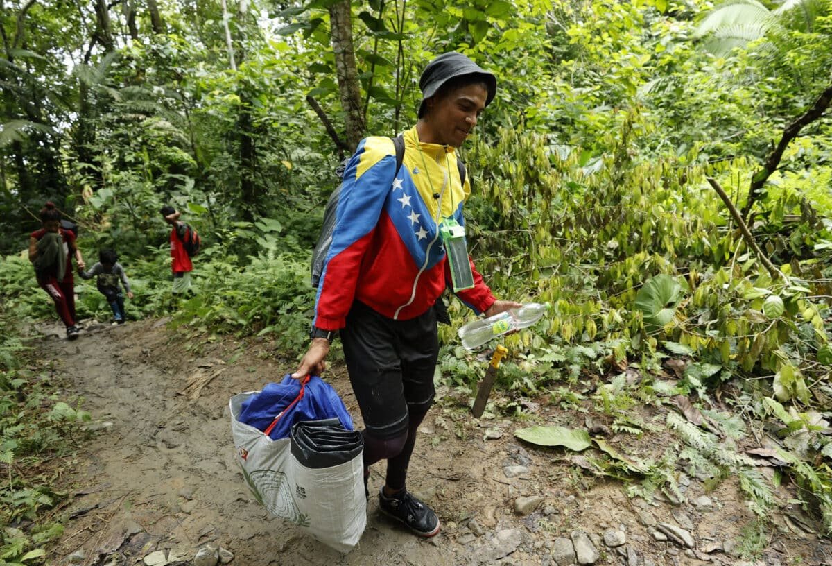 Casi 123 mil venezolanos han cruzado la selva del Darién en lo que va de 2024