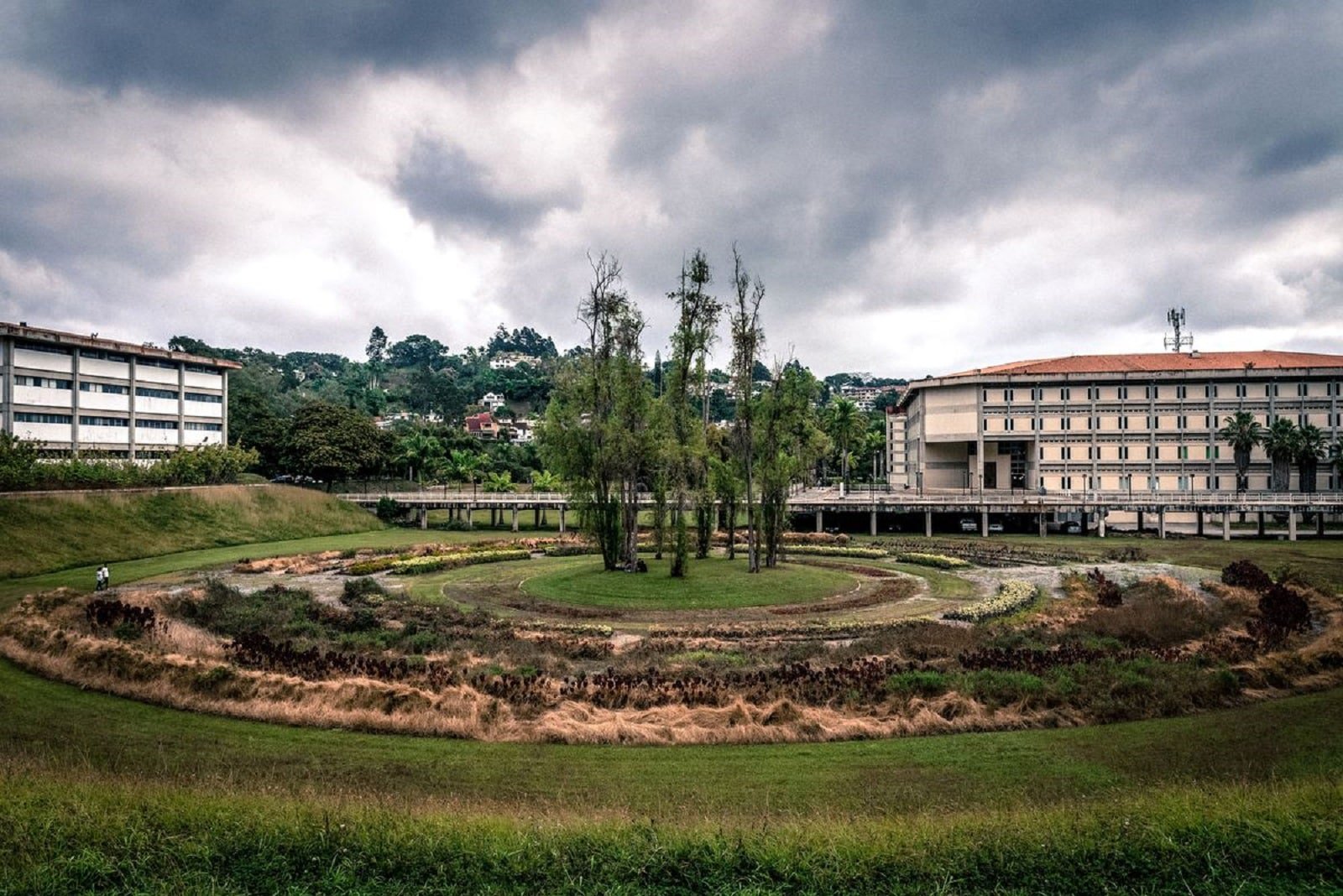 Salvar a la Universidad Simón Bolívar desde el exterior