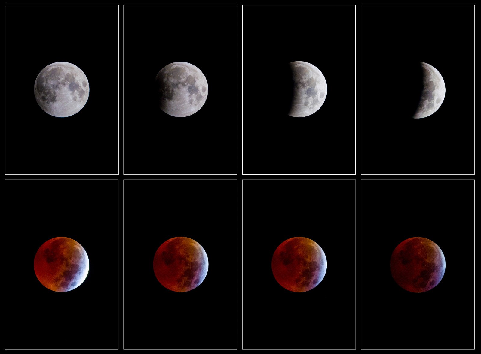 En imágenes: así se vio la luna de sangre en varios países de América